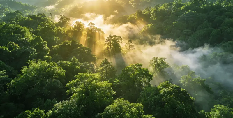 杭州肺癌12基因ctDNA突变检测(血液）图片1